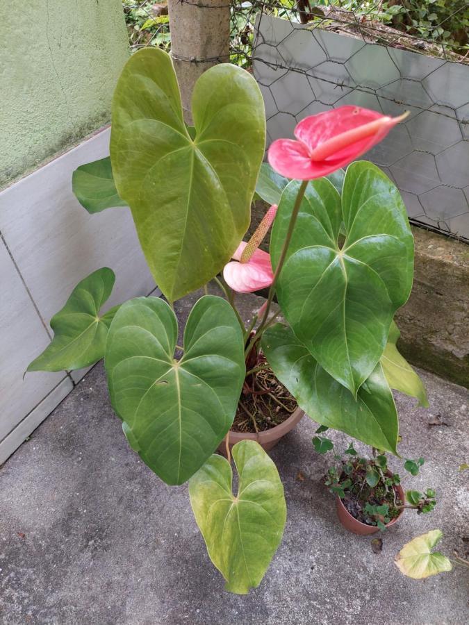 Casa Canto Verde Visconde De Maua Esterno foto